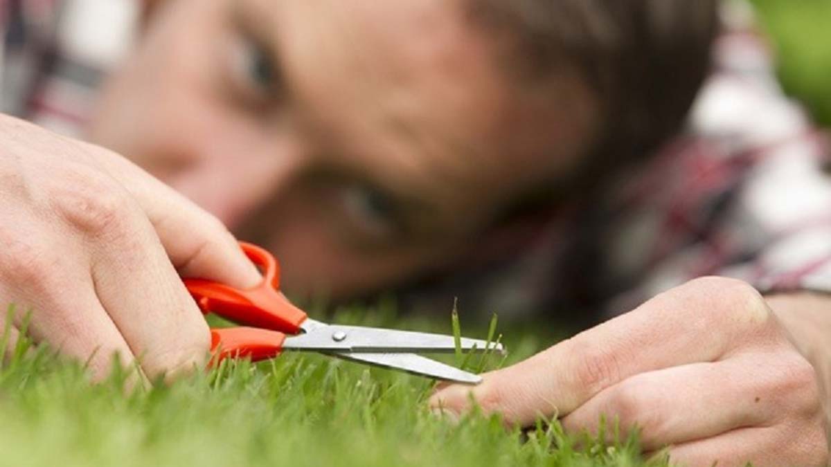 Takıntı hastalığı hayatı zorlaştırıyor