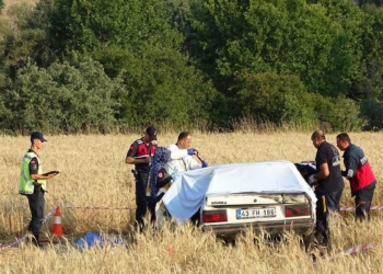 Tarlaya savrulup, yanan otomobilde can verdi 