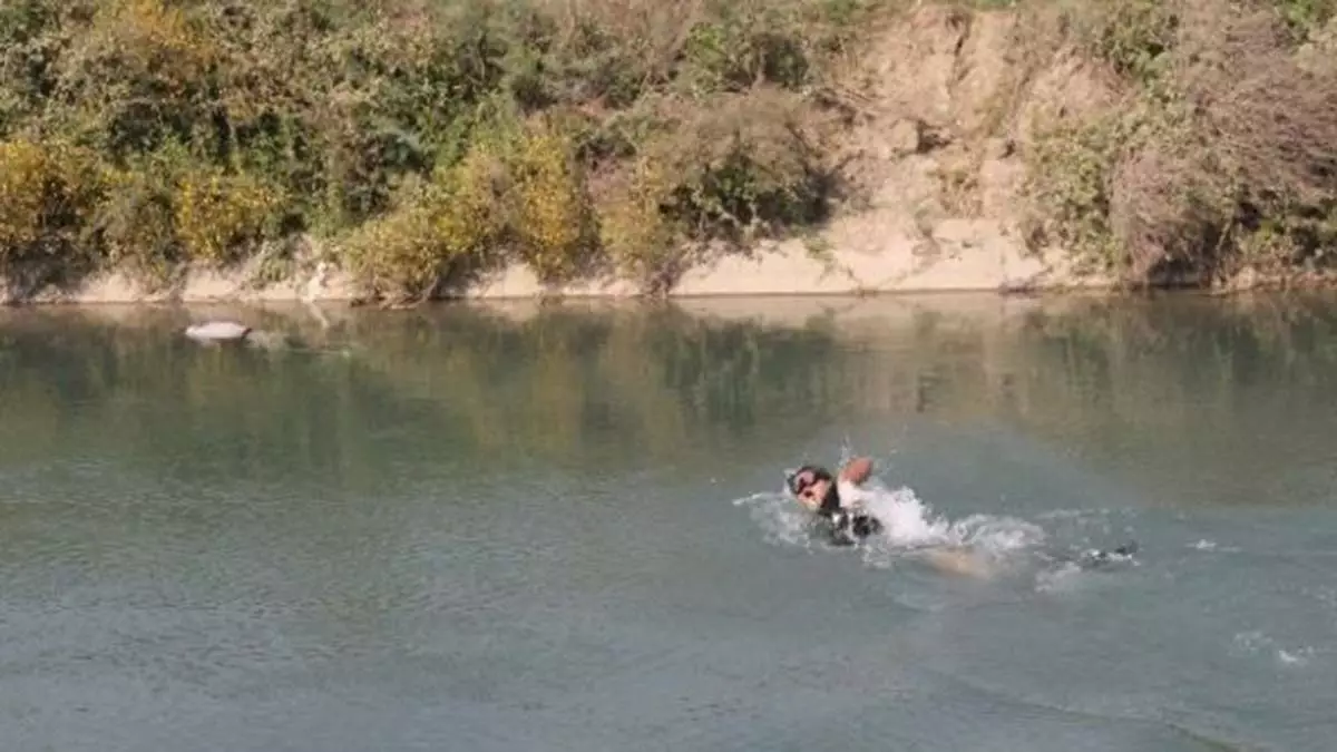 Tarsus'ta sulama kanalında erkek cesedi bulundu