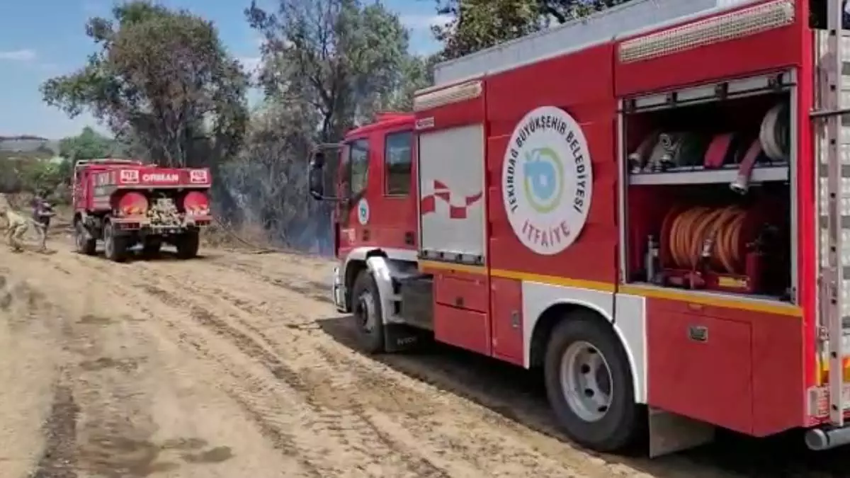 Tekirdagda aniz yangini ormana sicradi 1 - öne çıkan - haberton