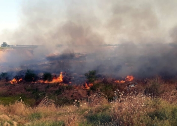 Trakya'da bir ayda toplam 31 yangın çıktı