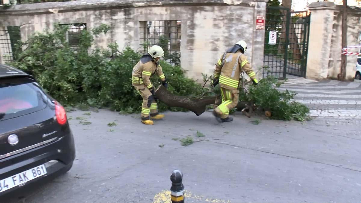 Üsküdar'da ağaç devrildi; otomobil hasar gördü