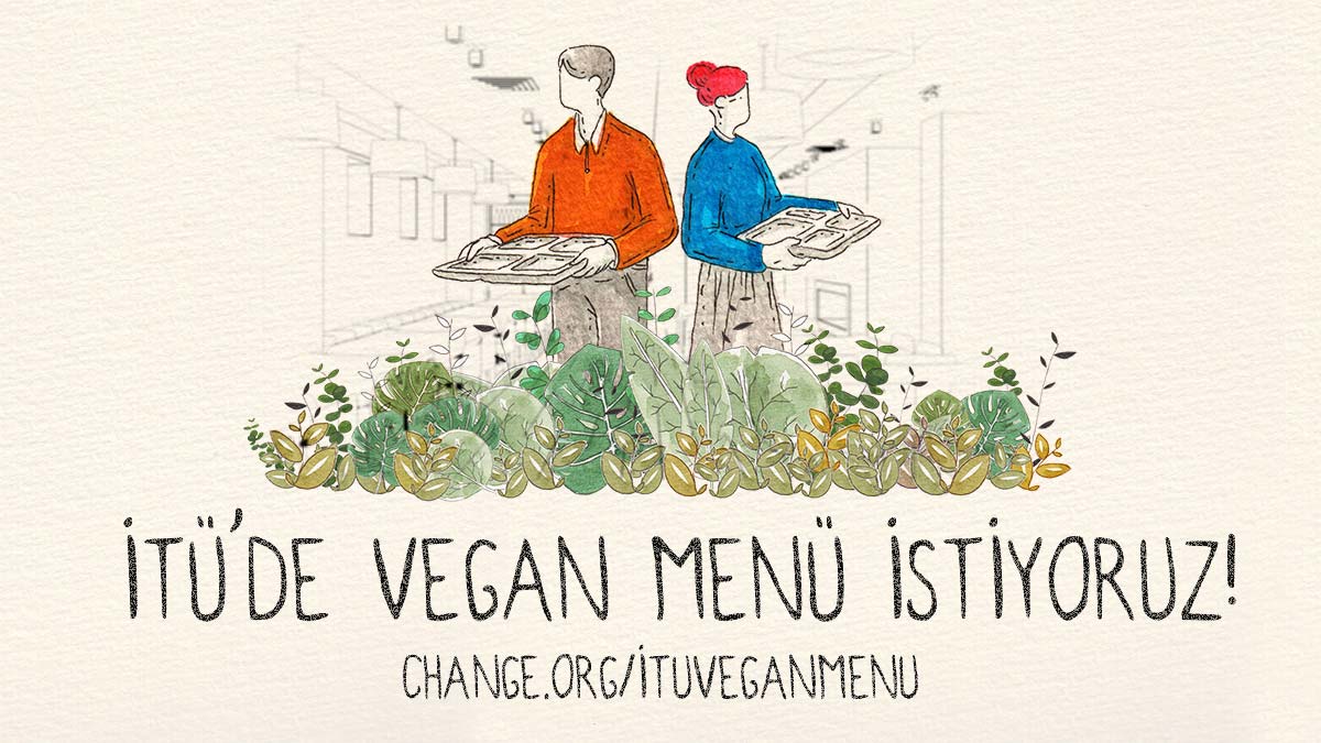 Vegan menu talebi kamu denetciligi kurumunda 1 - yerel haberler - haberton