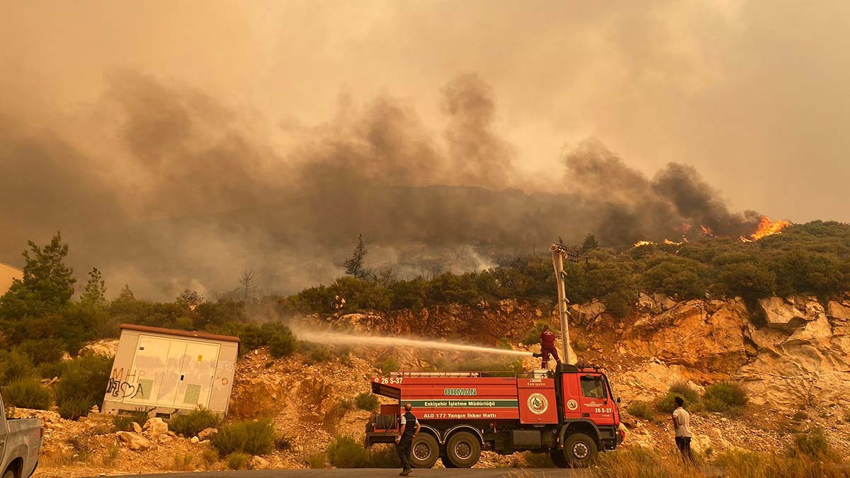 Yangınların sebebi insan kaynaklı