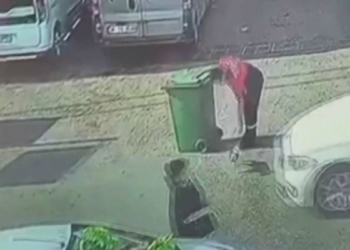 Yavru köpeği ezen sürücü, yoluna devam etti