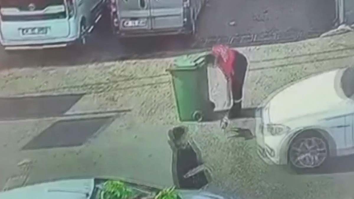 Yavru köpeği ezen sürücü, yoluna devam etti