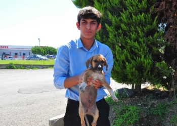 Yavru köpekleri çuvala koyup ölüme terk ettiler