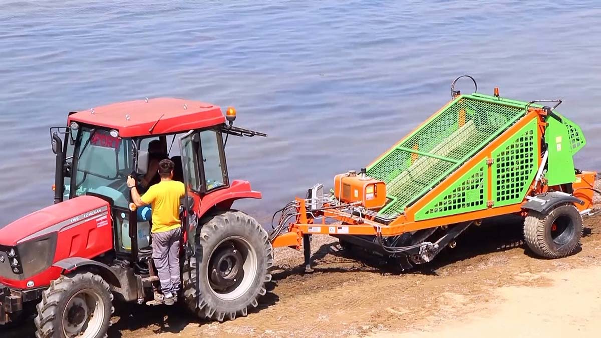 Yosunlar gübreye dönüştürülüyor