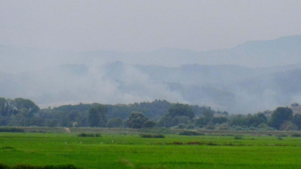 Yunanistan'daki yangın Türkiye sınırında görüldü
