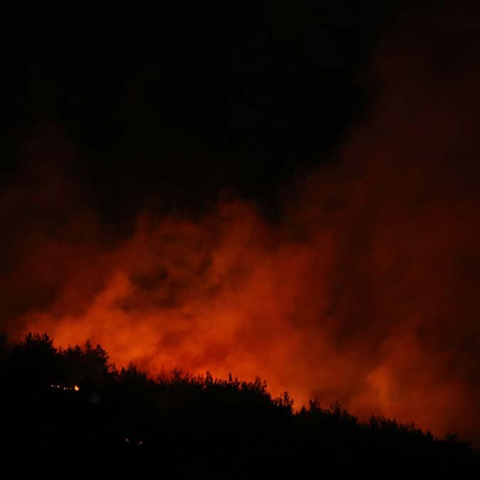 Adana Kozan'da orman yangını
