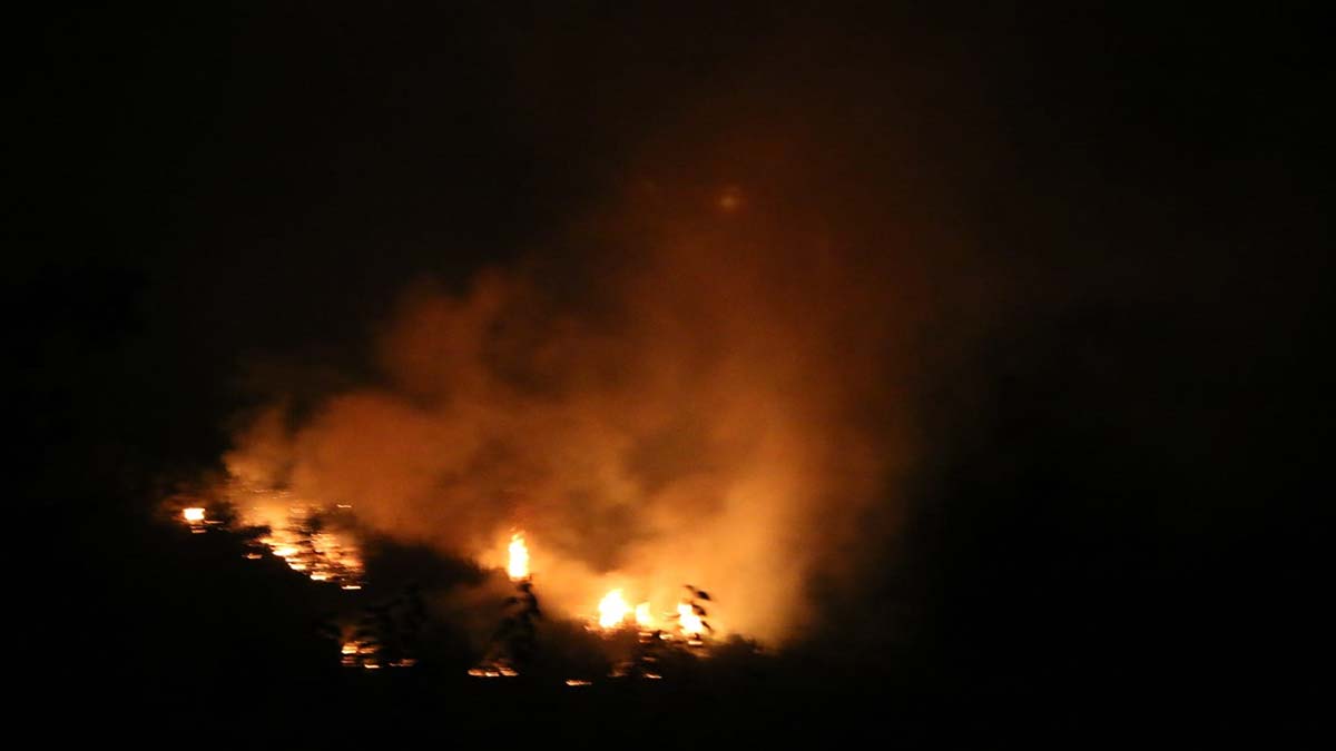 Adana Kozan'da orman yangını