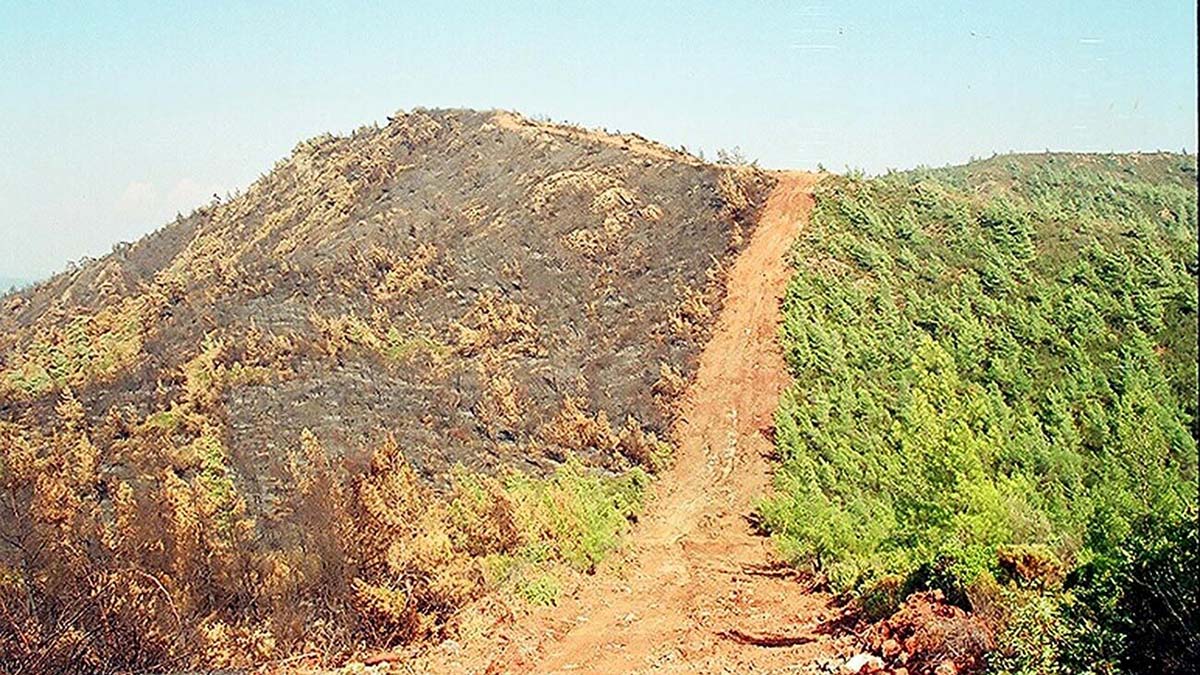 Yangın emniyet şeridi alevlere set oldu