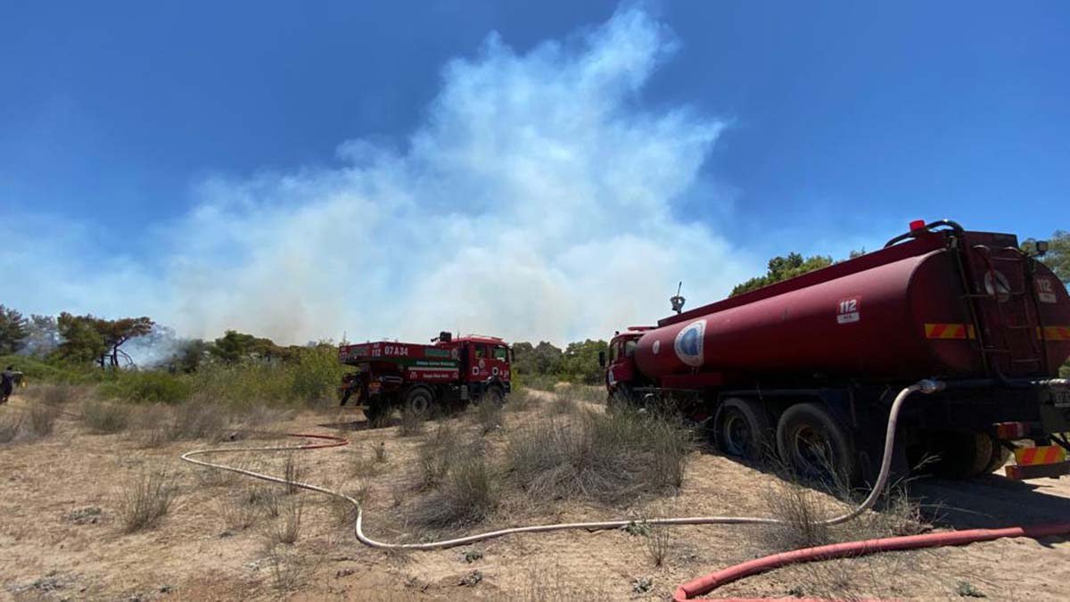 Antalya Muratpaşa'da ormanda yangın
