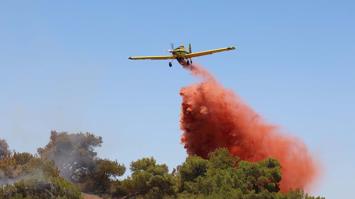 Antalya Muratpaşa'da ormanda yangın