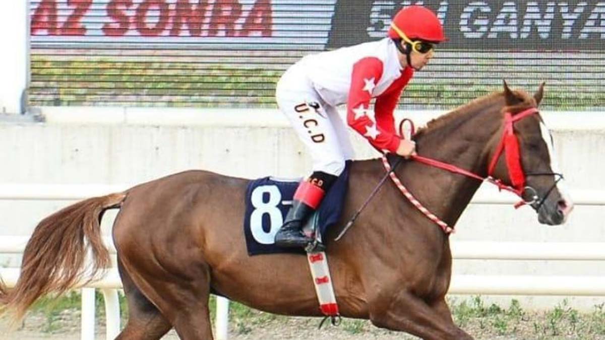 Apranti Uğurcan at yüzdürürken boğuldu