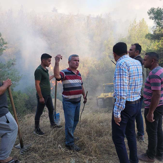Nazilli'de orman yangını çıktı