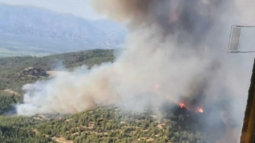 Nazilli'deki orman yangınında 30 hektar zarar gördü