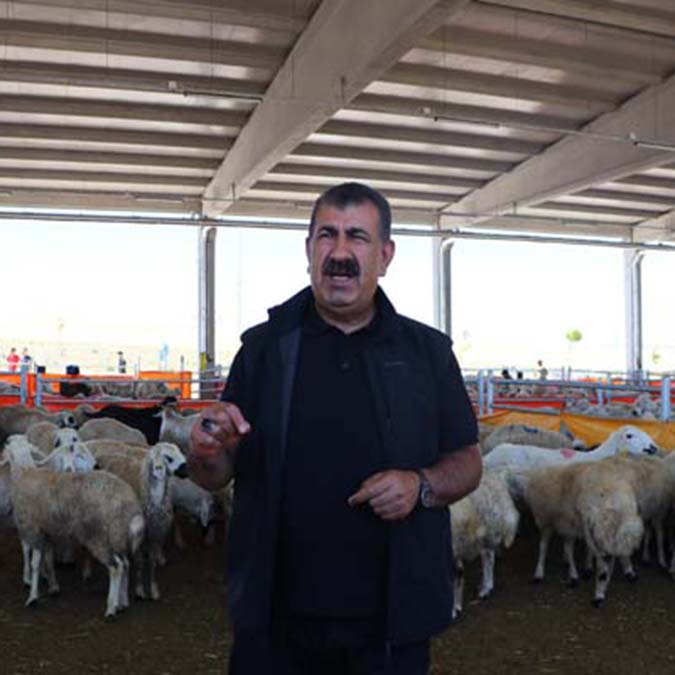 Et ve Süt Kurumu kalan kurbanlıkları değerlendirecek