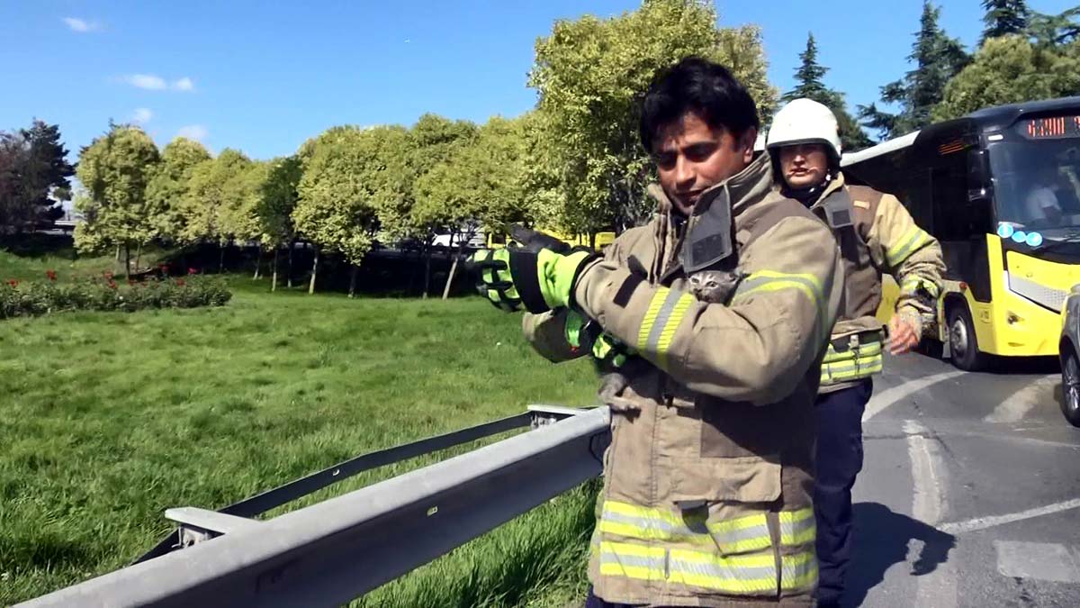 Otomobilin motorundan kedi sesi gelince itfaiyeden yardım istedi