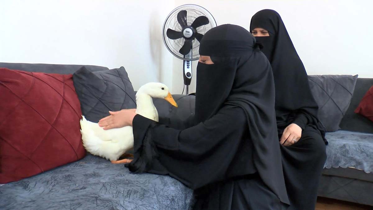 Bahçeşehir'de göletteki ördekleri çantasına koyarak çaldığı yönünde sosyal medyada paylaşılan görüntülerin ardından, ördeklerin sahibi Zeynep El Zuheyri konuştu.  