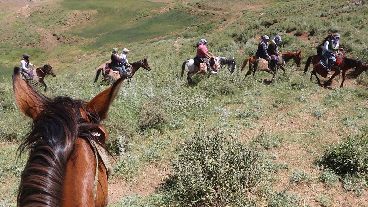 Berivan'ların at sırtında süt yolculuğu