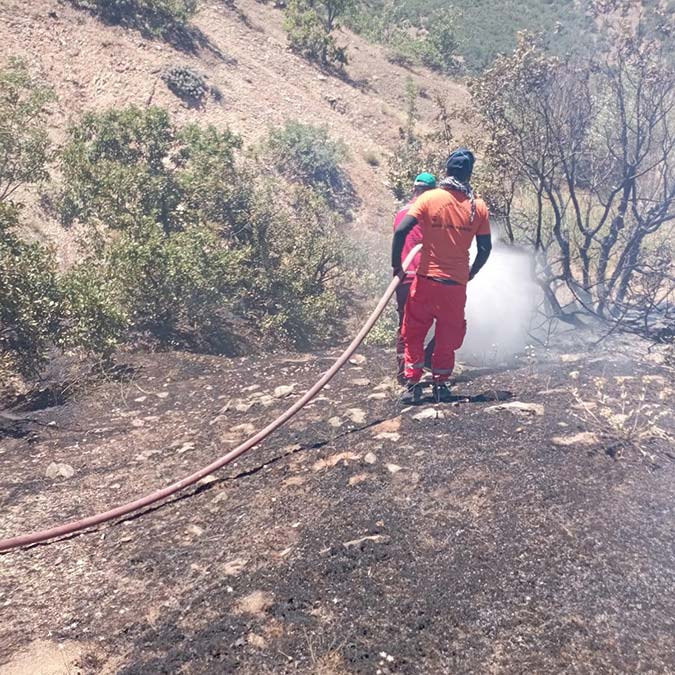 Bingöl'de orman yangını