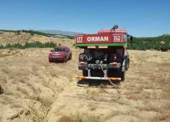Bingöl'de orman yangını