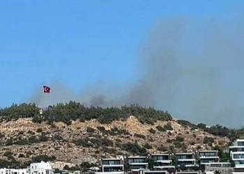 Bodrum'da makilikte çıkan yangın korkuttu