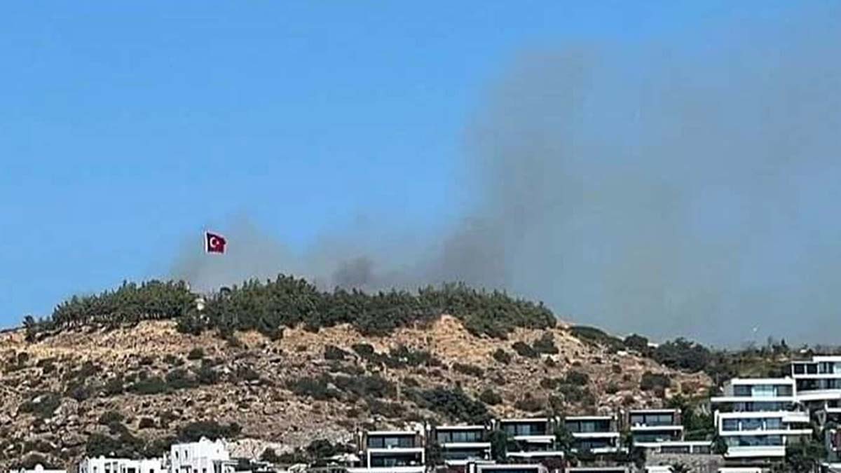 Bodrum'da makilikte çıkan yangın korkuttu