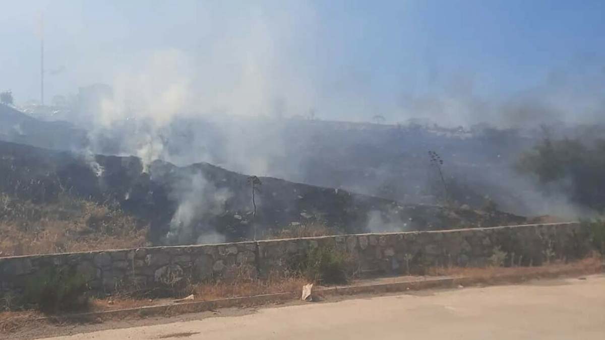 Bodrum'da makilik yangını