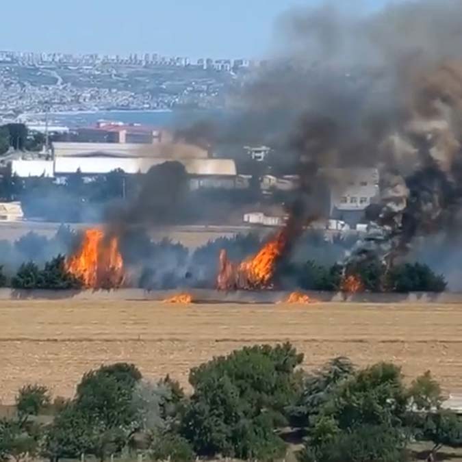 Alevler ayçiçek tarlasına sıçramadan söndürüldü
