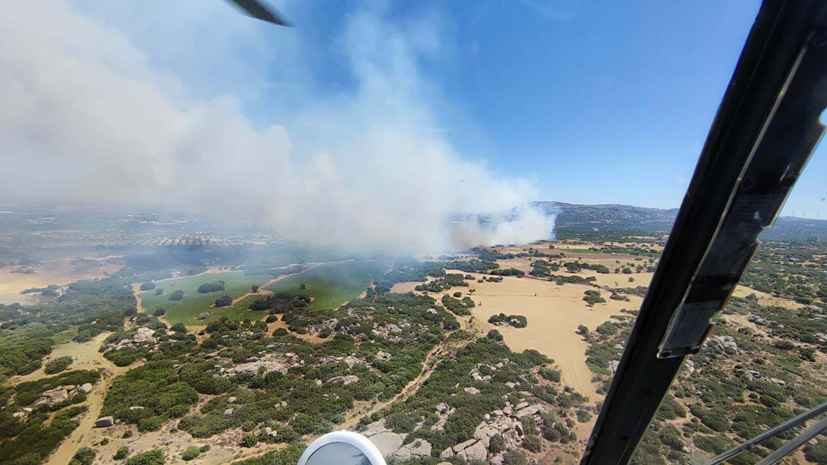 Ezine'de orman yangını