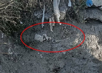 Çankırı'da kafatası ve kemikler bulundu
