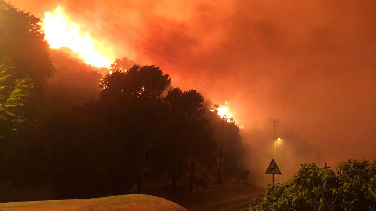 Çeşme'de otluk alanda çıkan yangın korkuttu