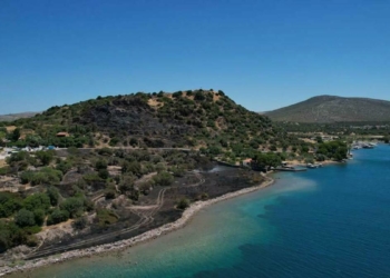 Çeşme'de 2 hektar otluk alan küle döndü
