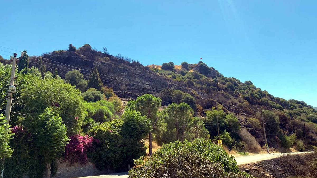 İzmir'in Çeşme ilçesinde, dün gece çıkan yangın 3 saatte söndürülürken, içinde zeytin ağaçları da bulunan toplam 2 hektar otluk alan küle döndü.