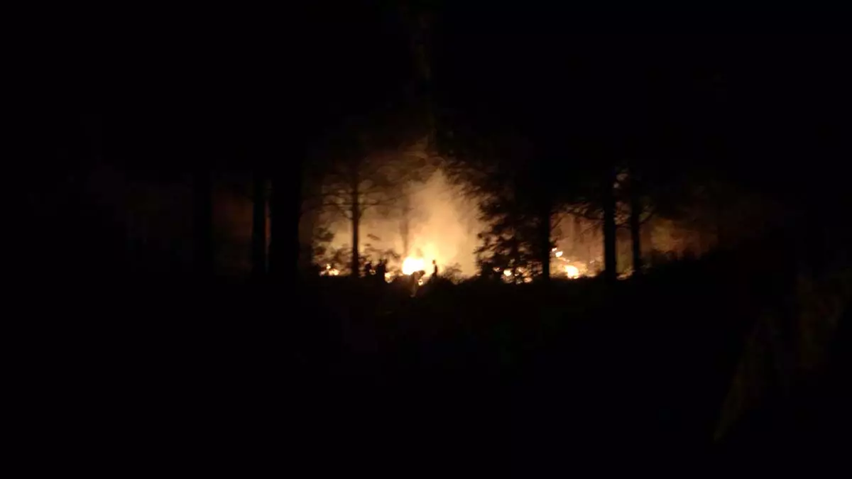 Datça'da orman yangını; 2,5 dönüm kül oldu