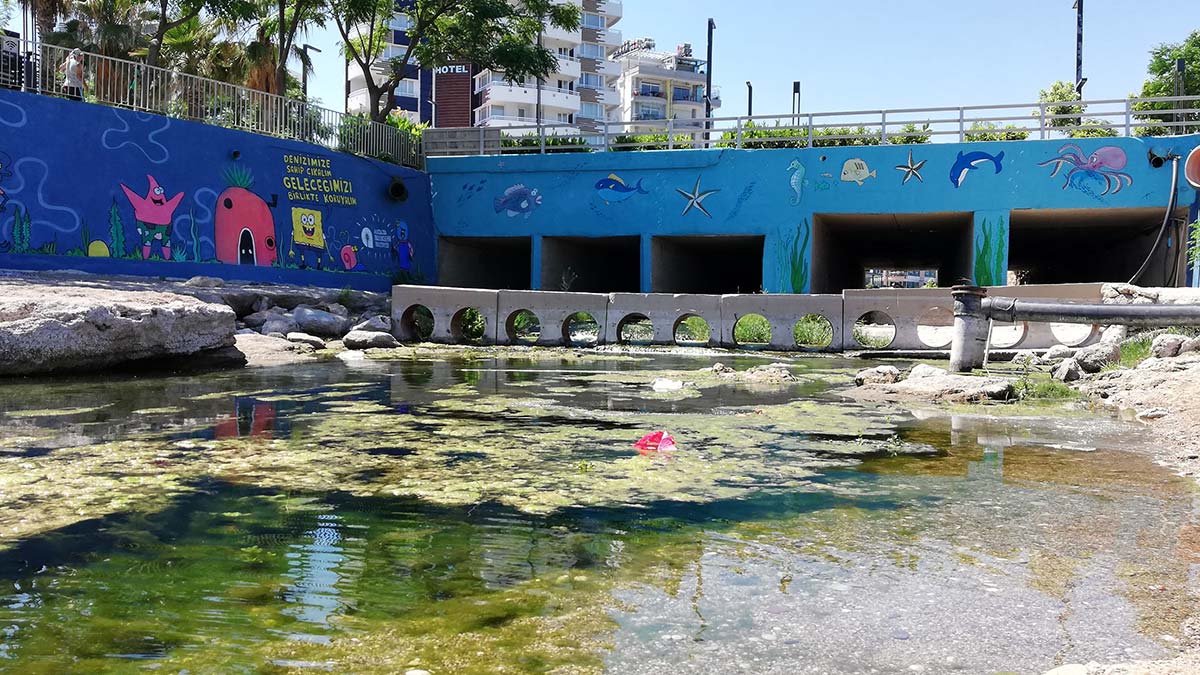 Antalya'da her gün binlerce tatilcinin yüzmeye ve güneşlenmeye geldiği Konyaaltı Sahili'nde denize akan derelere atılan poşet ve çöpler, endemik balık türlerinin üremesini ve yaşamını olumsuz etkiliyor.