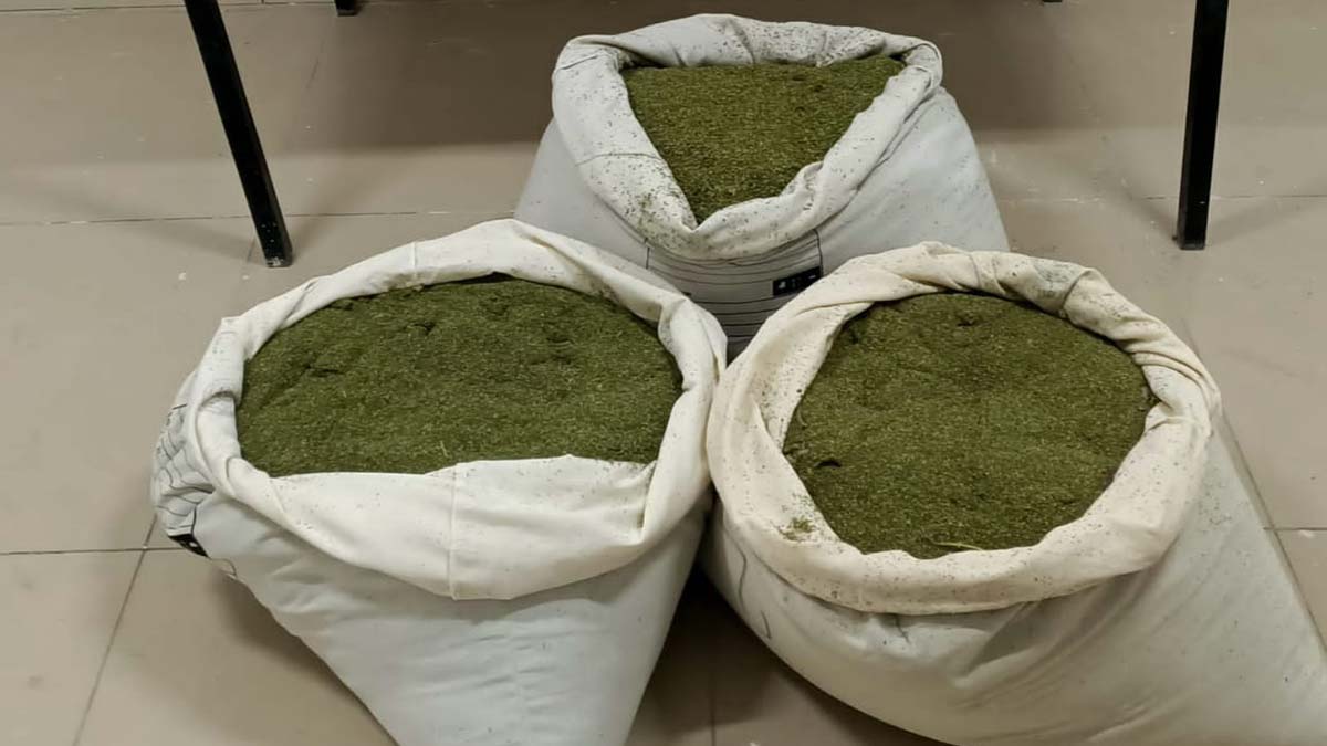 Eren Abluka-9 Operasyonu'nda esrar ele geçirildi