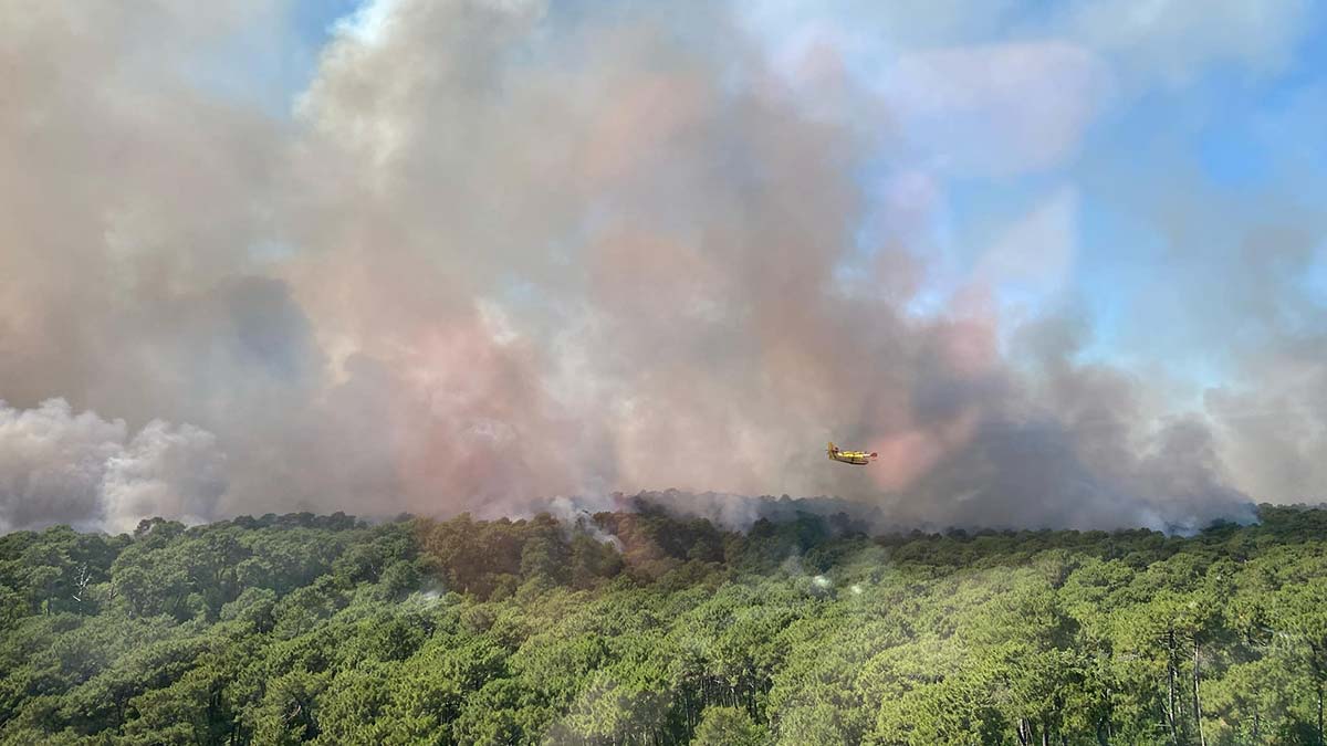Fransa i̇spanya ve portekiz'de orman yangınları devam ediyor. Fransa’nın bordeaux kentinin güneyindeki gironde bölgesindeki yangınlar nedeniyle 12 bin kişinin tahliye edildiği belirtildi.