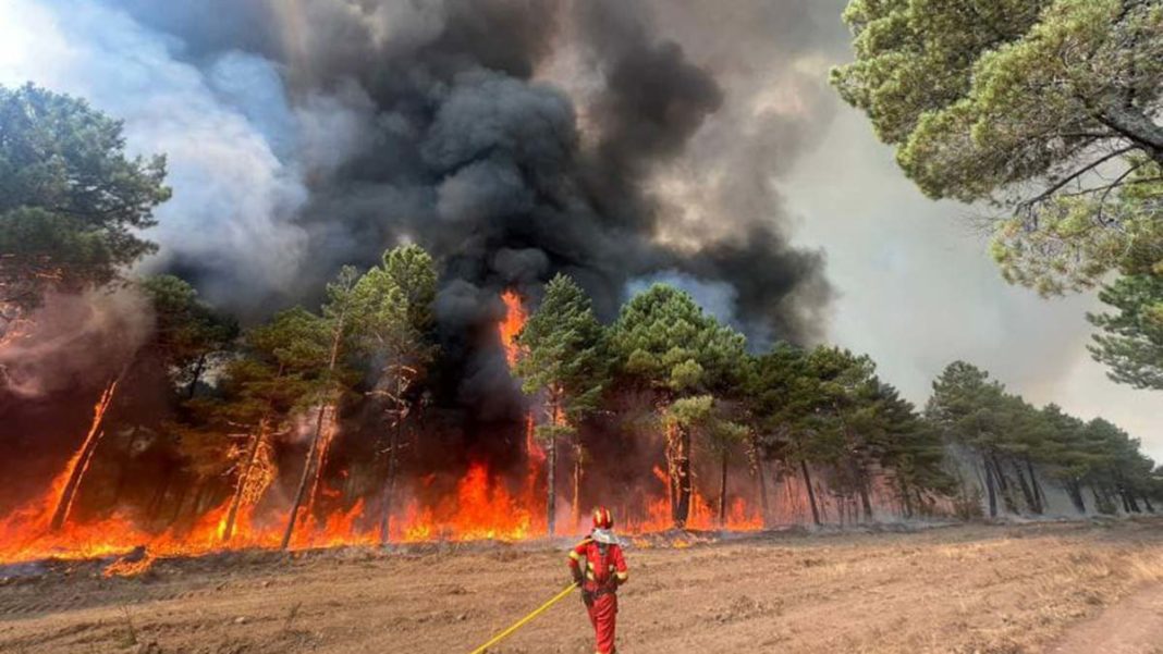 Fransa İspanya ve Portekiz'de orman yangınları