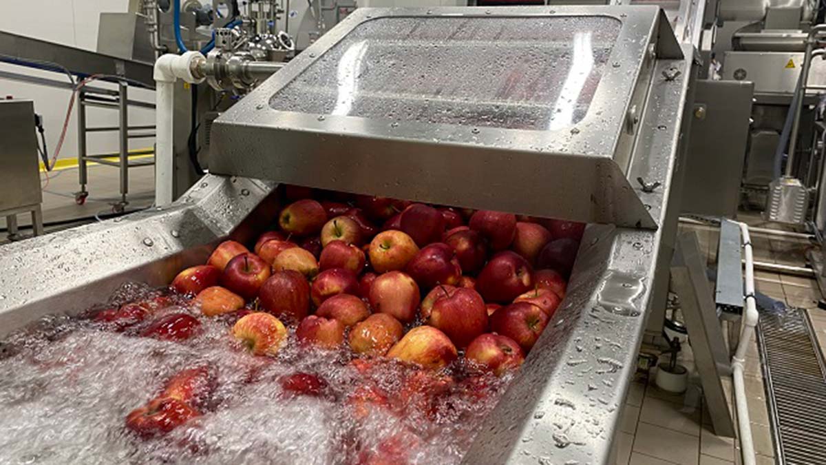 Türkiye Gıda İnovasyon Platformu açıldı