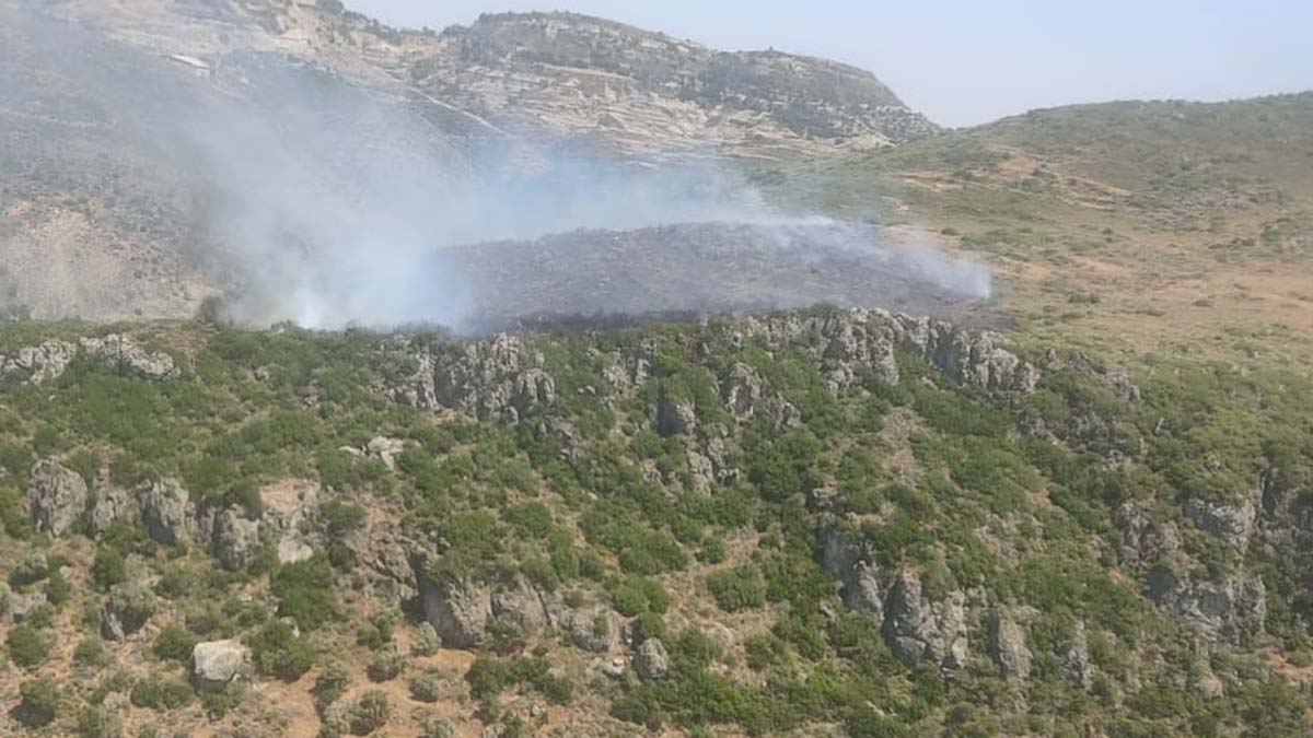Antakya'da makilikte çıkan yangın söndürüldü