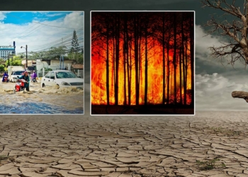 Küresel iklim raporuna göre Haziran en sıcak ay