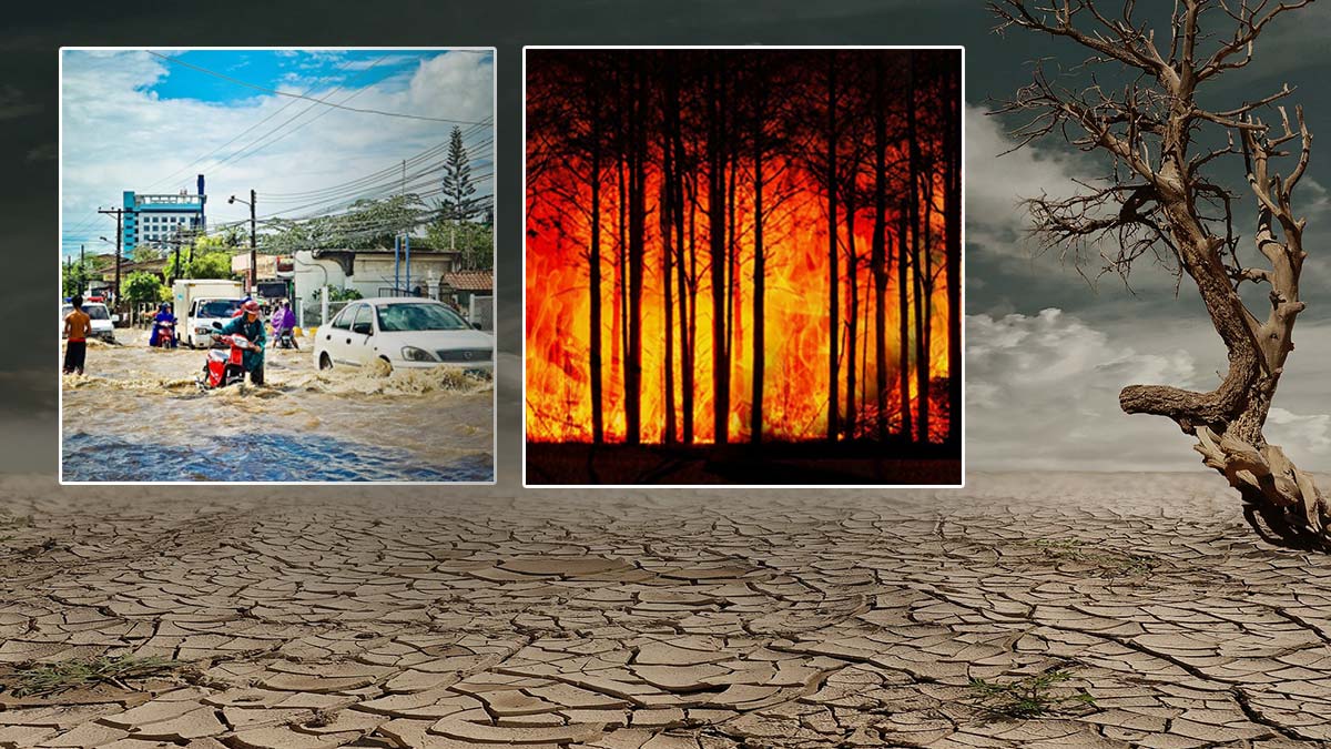 Küresel iklim raporuna göre Haziran en sıcak ay