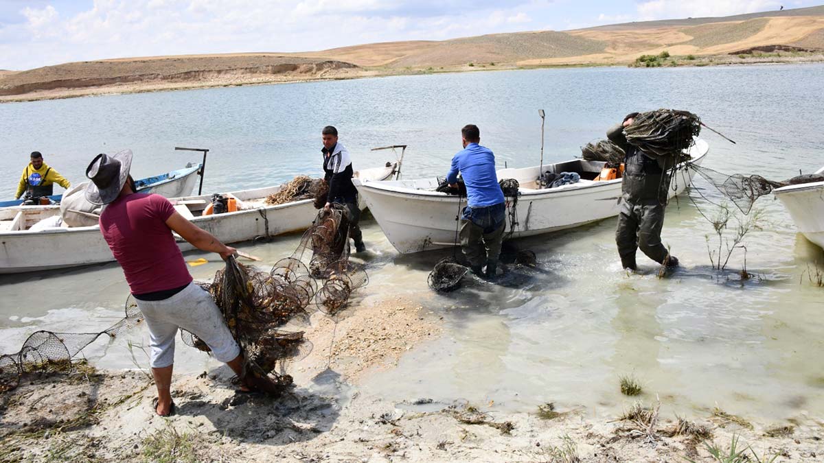 Hirfanlı Baraj Gölü'nde hayalet ağ