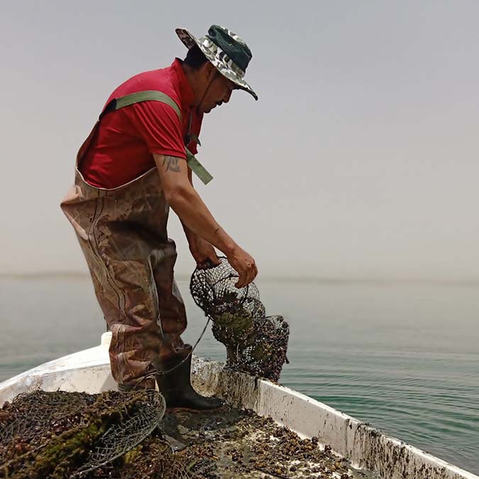 Ankara ile Kırşehir arasında yer alan Hirfanlı Baraj Gölü'nde hayalet ağ olarak bilinen 10 bin adet 'sepet ağ', Tarım ve Orman Bakanlığı Balıkçılık ve Su Ürünleri Genel Müdürlüğü ekiplerince çıkarıldı.