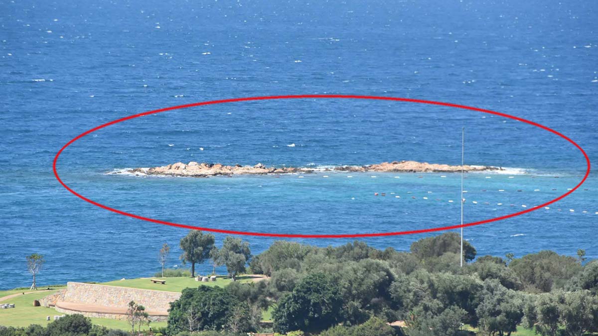 Ünal Pala ile Evrim Pala Ankara'da defnedilecek