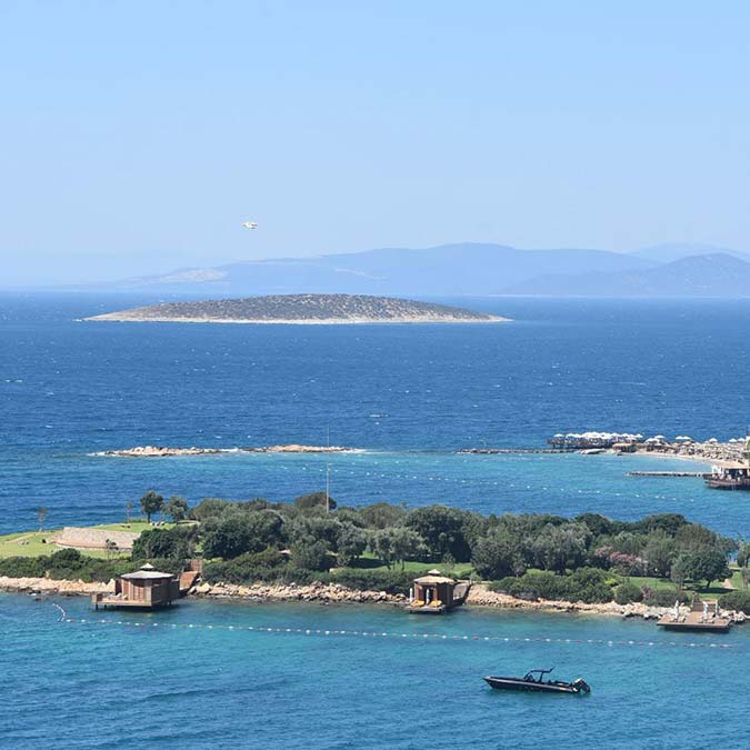Ünal Pala ile eşi Evrim Pala'nın cenazeleri Ankara'da defnedilecek