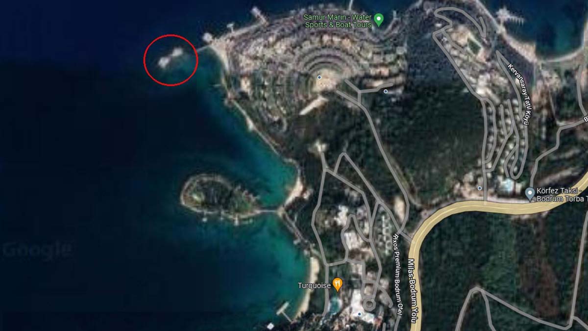 İş insanı Ünal Pala (52) ve annesi Evrim Pala'nın (47) öldüğü tekne kazasından Mina Pala 150 metre yüzerek kurtulmuş.